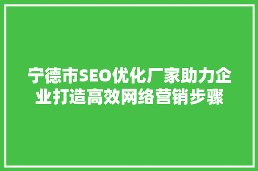 宁德市SEO优化厂家助力企业打造高效网络营销步骤  第1张