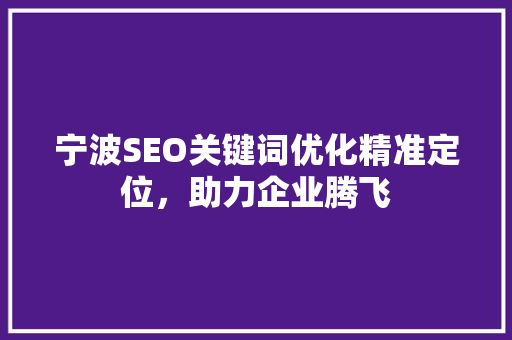 宁波SEO关键词优化精准定位，助力企业腾飞