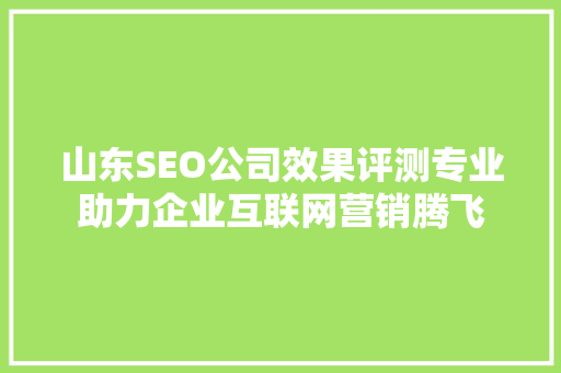 山东SEO公司效果评测专业助力企业互联网营销腾飞