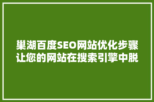 巢湖百度SEO网站优化步骤让您的网站在搜索引擎中脱颖而出  第1张