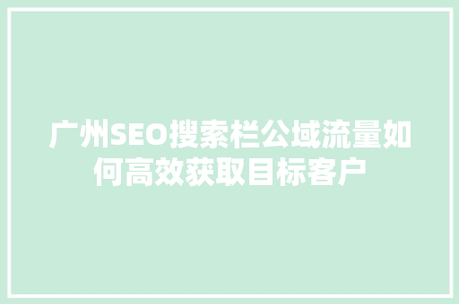 广州SEO搜索栏公域流量如何高效获取目标客户