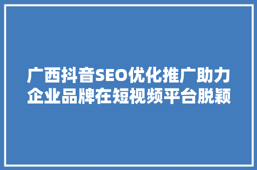 广西抖音SEO优化推广助力企业品牌在短视频平台脱颖而出