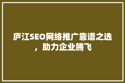 庐江SEO网络推广靠谱之选，助力企业腾飞