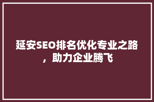 延安SEO排名优化专业之路，助力企业腾飞