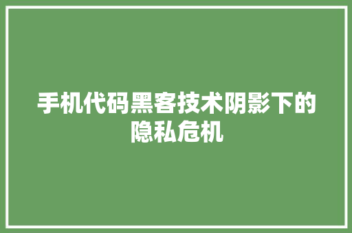 手机代码黑客技术阴影下的隐私危机