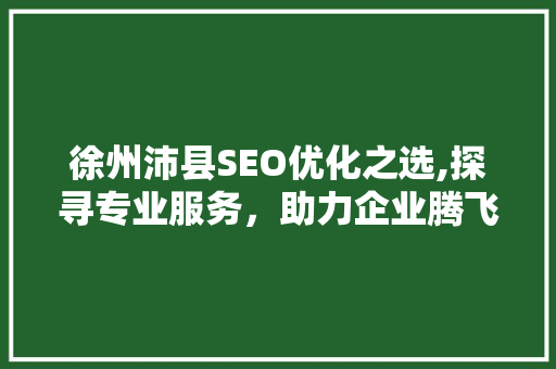 徐州沛县SEO优化之选,探寻专业服务，助力企业腾飞  第1张