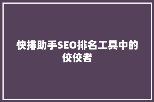 快排助手SEO排名工具中的佼佼者