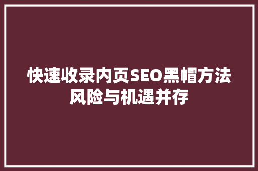 快速收录内页SEO黑帽方法风险与机遇并存