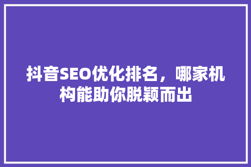 抖音SEO优化排名，哪家机构能助你脱颖而出