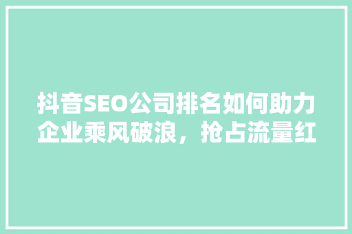 抖音SEO公司排名如何助力企业乘风破浪，抢占流量红利