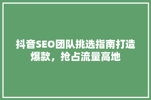 抖音SEO团队挑选指南打造爆款，抢占流量高地