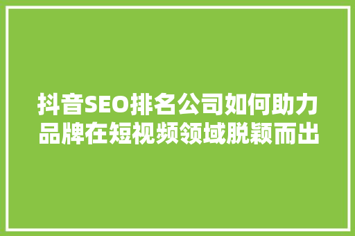 抖音SEO排名公司如何助力品牌在短视频领域脱颖而出