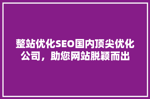 整站优化SEO国内顶尖优化公司，助您网站脱颖而出