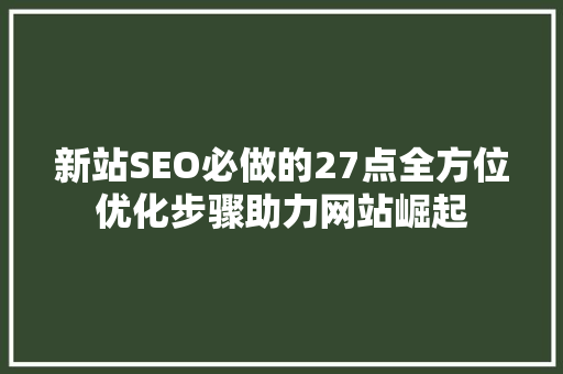 新站SEO必做的27点全方位优化步骤助力网站崛起