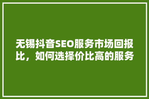 无锡抖音SEO服务市场回报比，如何选择价比高的服务商