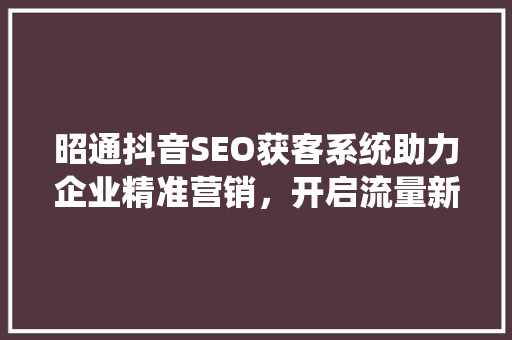 昭通抖音SEO获客系统助力企业精准营销，开启流量新篇章