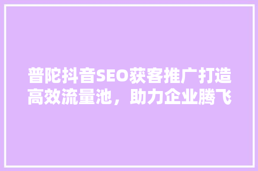 普陀抖音SEO获客推广打造高效流量池，助力企业腾飞