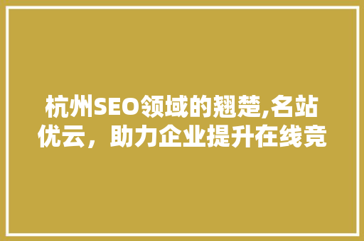 杭州SEO领域的翘楚,名站优云，助力企业提升在线竞争力