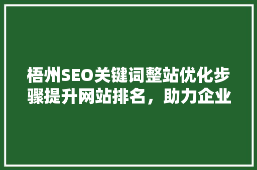 梧州SEO关键词整站优化步骤提升网站排名，助力企业腾飞