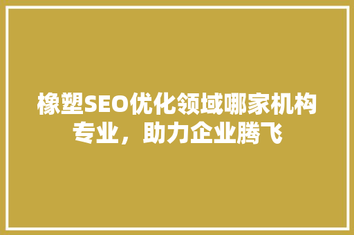 橡塑SEO优化领域哪家机构专业，助力企业腾飞