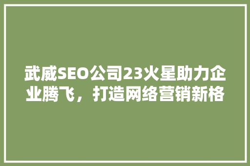 武威SEO公司23火星助力企业腾飞，打造网络营销新格局