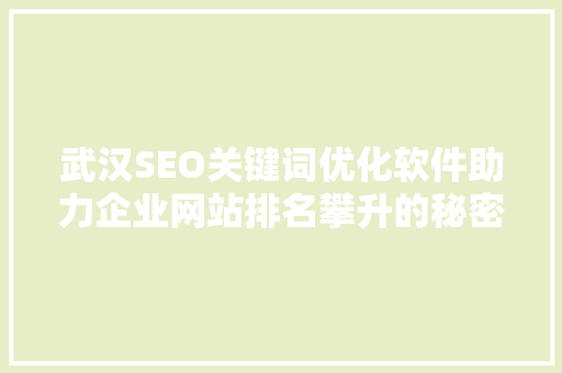 武汉SEO关键词优化软件助力企业网站排名攀升的秘密武器