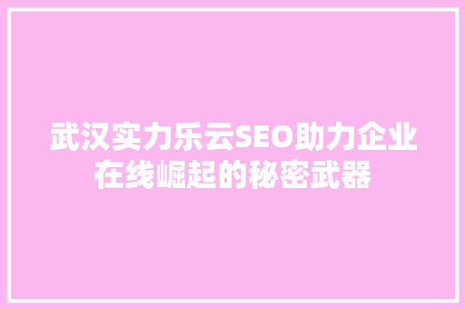武汉实力乐云SEO助力企业在线崛起的秘密武器