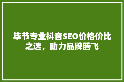 毕节专业抖音SEO价格价比之选，助力品牌腾飞