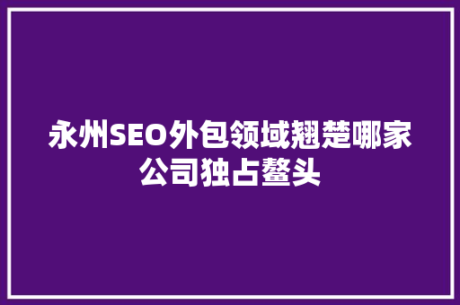 永州SEO外包领域翘楚哪家公司独占鳌头