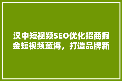 汉中短视频SEO优化招商掘金短视频蓝海，打造品牌新引擎