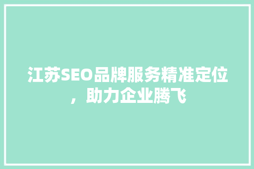 江苏SEO品牌服务精准定位，助力企业腾飞