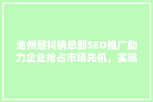 池州慧抖销总部SEO推广助力企业抢占市场先机，实现高效营销