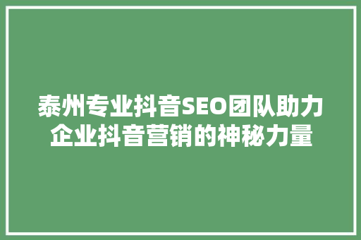 泰州专业抖音SEO团队助力企业抖音营销的神秘力量