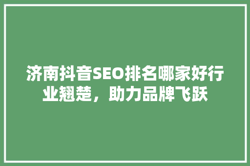济南抖音SEO排名哪家好行业翘楚，助力品牌飞跃