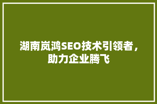 湖南岚鸿SEO技术引领者，助力企业腾飞