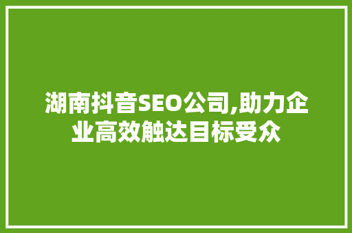 湖南抖音SEO公司,助力企业高效触达目标受众