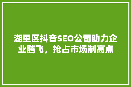 湖里区抖音SEO公司助力企业腾飞，抢占市场制高点