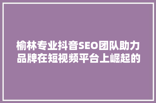 榆林专业抖音SEO团队助力品牌在短视频平台上崛起的方法