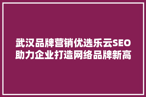 武汉品牌营销优选乐云SEO助力企业打造网络品牌新高度