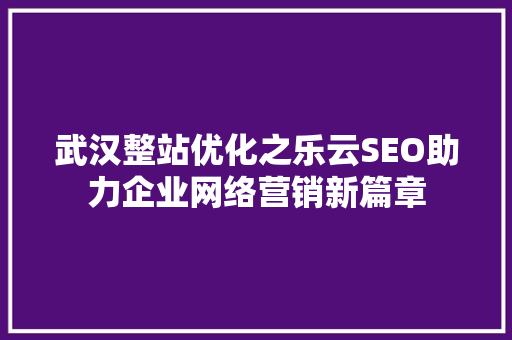 武汉整站优化之乐云SEO助力企业网络营销新篇章