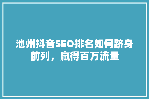 池州抖音SEO排名如何跻身前列，赢得百万流量