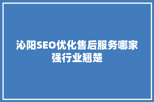 沁阳SEO优化售后服务哪家强行业翘楚