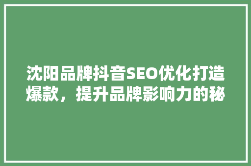 沈阳品牌抖音SEO优化打造爆款，提升品牌影响力的秘密武器