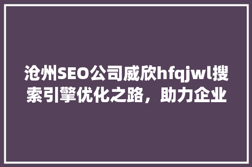 沧州SEO公司威欣hfqjwl搜索引擎优化之路，助力企业腾飞