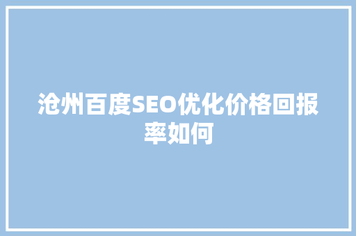 沧州百度SEO优化价格回报率如何