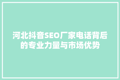 河北抖音SEO厂家电话背后的专业力量与市场优势