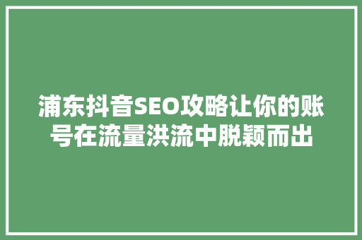 浦东抖音SEO攻略让你的账号在流量洪流中脱颖而出