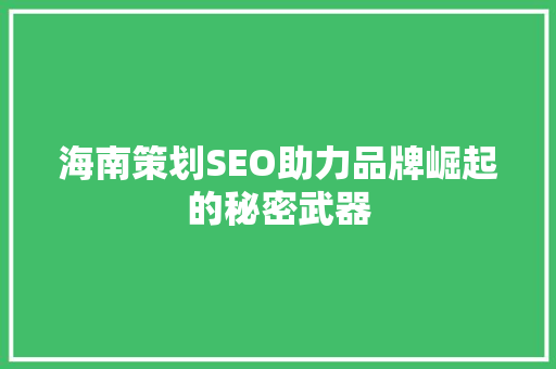 海南策划SEO助力品牌崛起的秘密武器