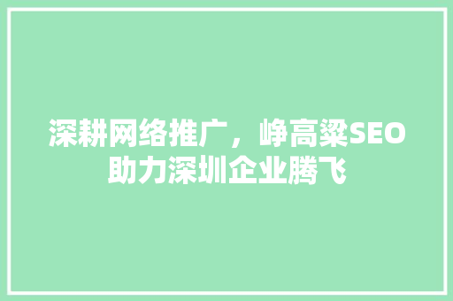 深耕网络推广，峥高粱SEO助力深圳企业腾飞  第1张