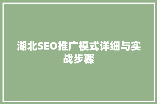 湖北SEO推广模式详细与实战步骤